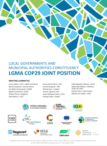 lgma-cop29-position-paper_cover